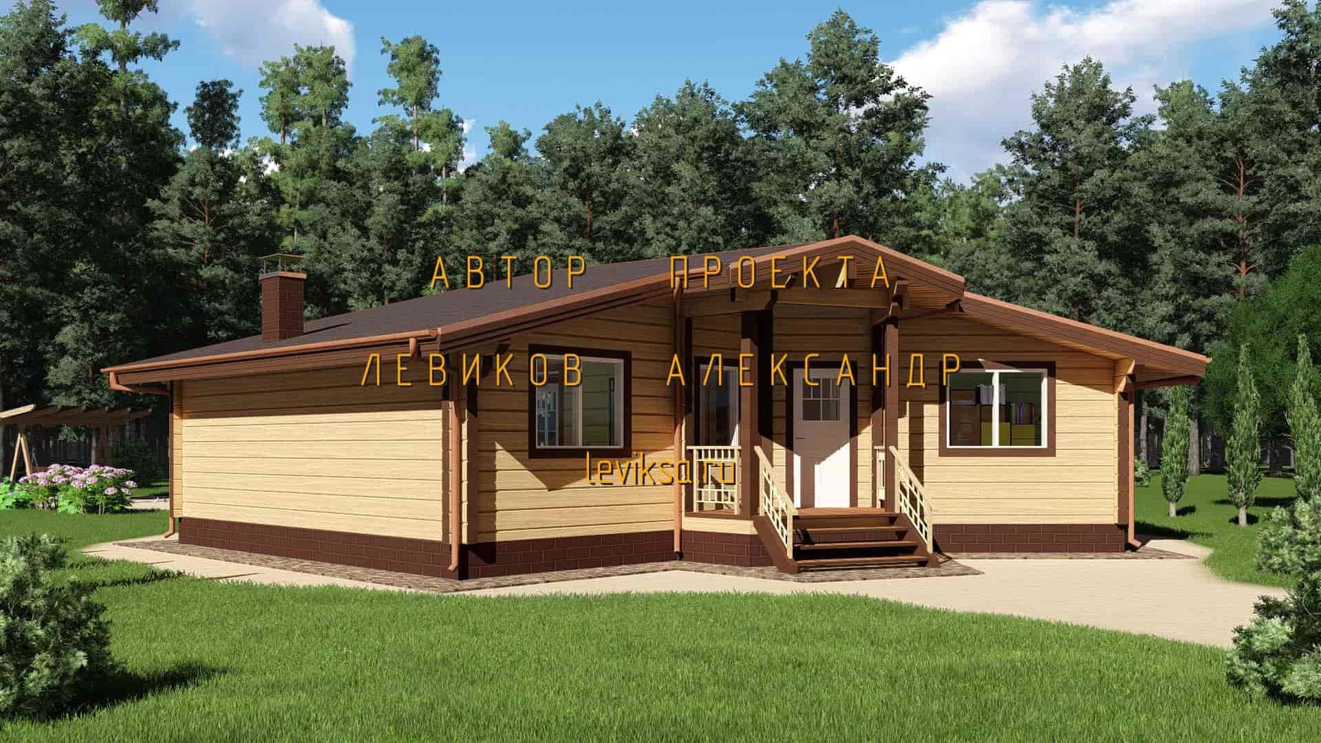 Project Afina 23 Min